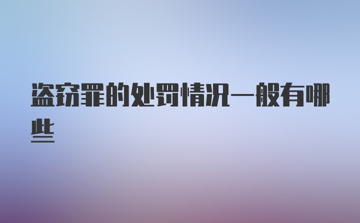 盗窃罪的处罚情况一般有哪些