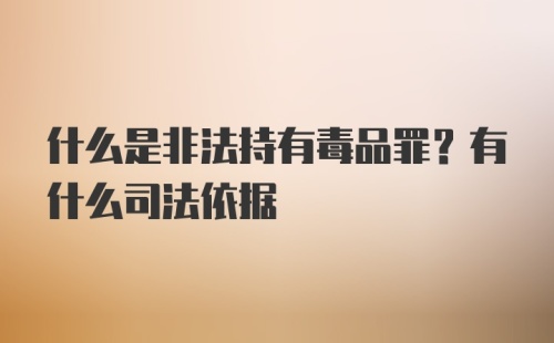 什么是非法持有毒品罪？有什么司法依据