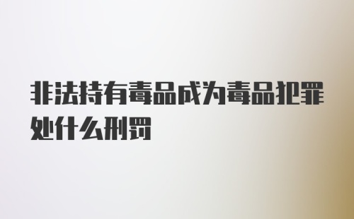 非法持有毒品成为毒品犯罪处什么刑罚