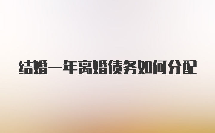 结婚一年离婚债务如何分配