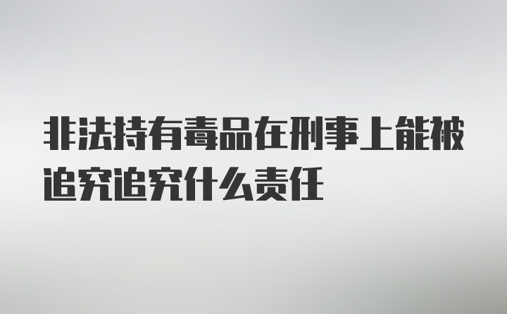 非法持有毒品在刑事上能被追究追究什么责任