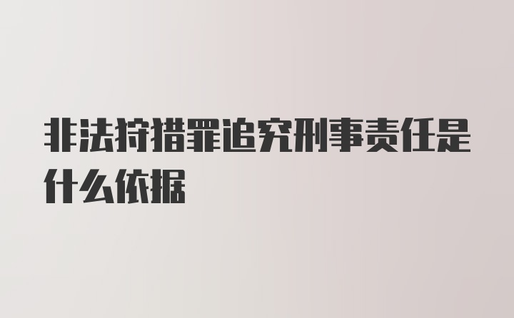 非法狩猎罪追究刑事责任是什么依据