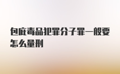 包庇毒品犯罪分子罪一般要怎么量刑