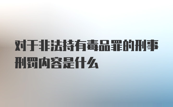 对于非法持有毒品罪的刑事刑罚内容是什么