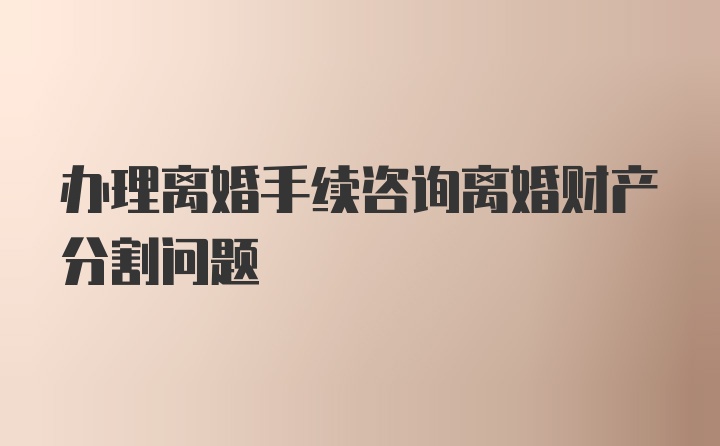 办理离婚手续咨询离婚财产分割问题