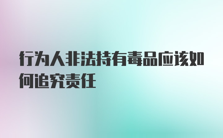 行为人非法持有毒品应该如何追究责任