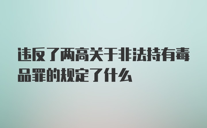 违反了两高关于非法持有毒品罪的规定了什么