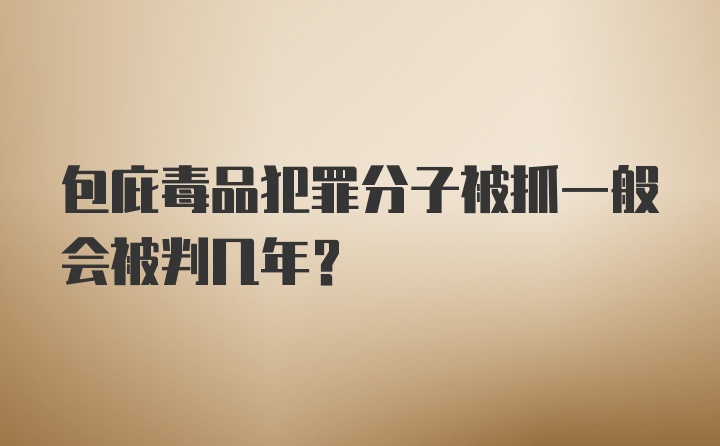 包庇毒品犯罪分子被抓一般会被判几年？