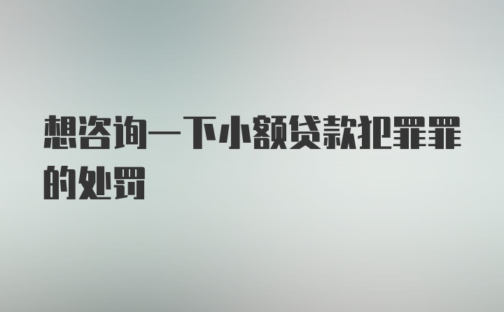 想咨询一下小额贷款犯罪罪的处罚