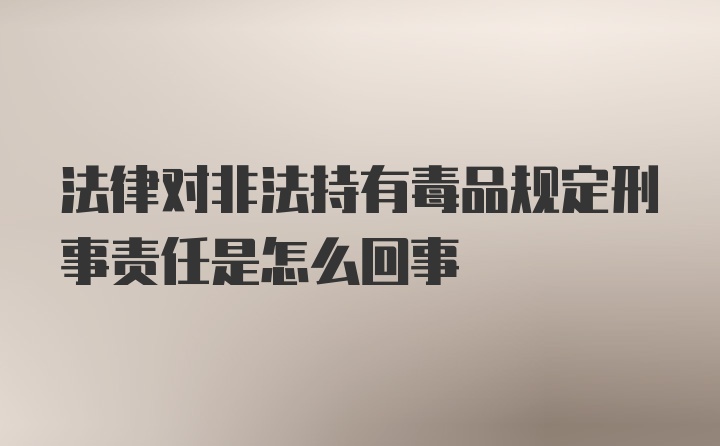 法律对非法持有毒品规定刑事责任是怎么回事