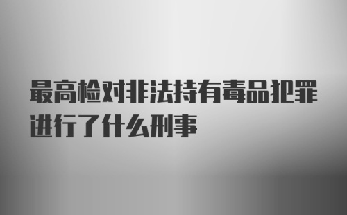 最高检对非法持有毒品犯罪进行了什么刑事