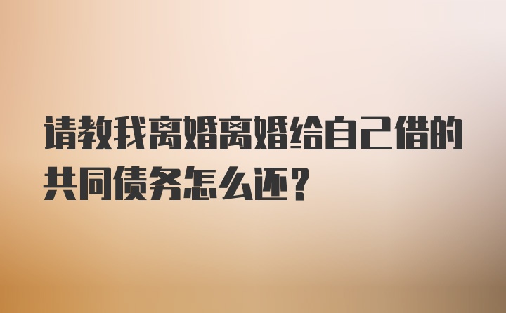 请教我离婚离婚给自己借的共同债务怎么还？