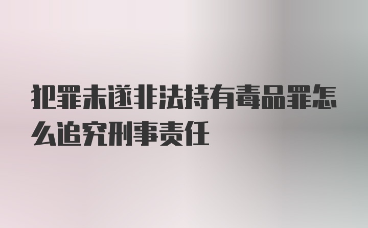 犯罪未遂非法持有毒品罪怎么追究刑事责任