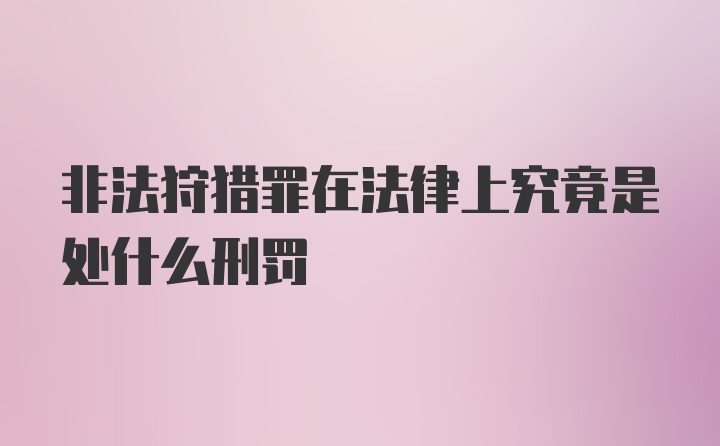 非法狩猎罪在法律上究竟是处什么刑罚