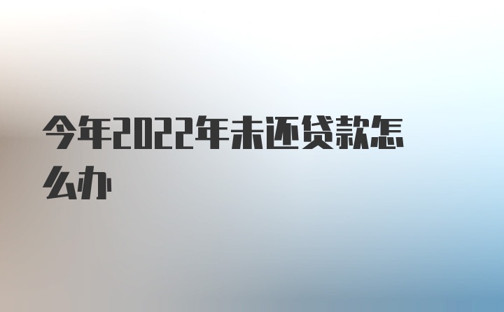 今年2022年未还贷款怎么办