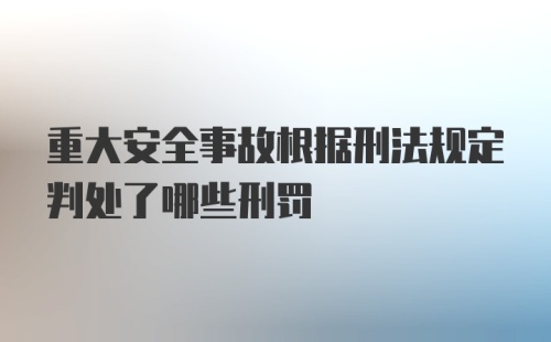 重大安全事故根据刑法规定判处了哪些刑罚