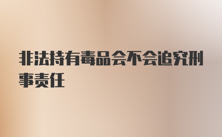 非法持有毒品会不会追究刑事责任