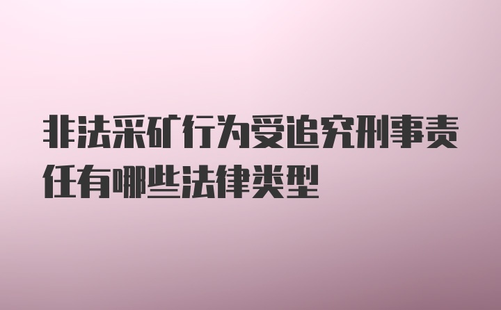 非法采矿行为受追究刑事责任有哪些法律类型