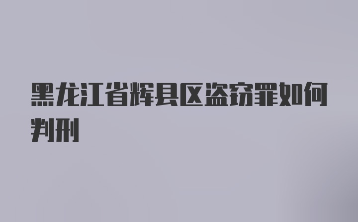 黑龙江省辉县区盗窃罪如何判刑