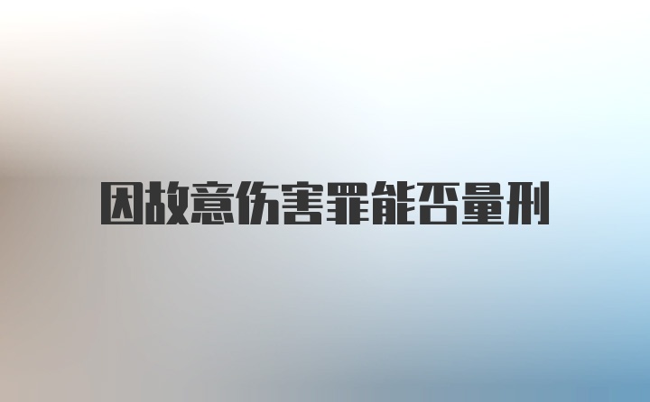 因故意伤害罪能否量刑