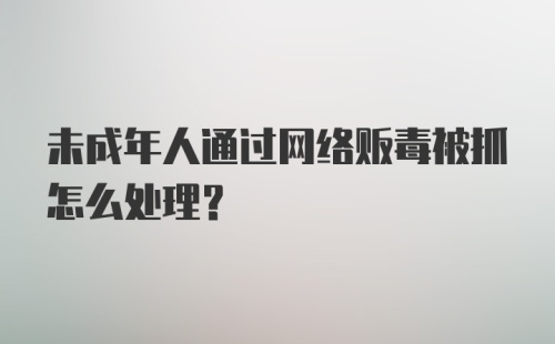 未成年人通过网络贩毒被抓怎么处理？