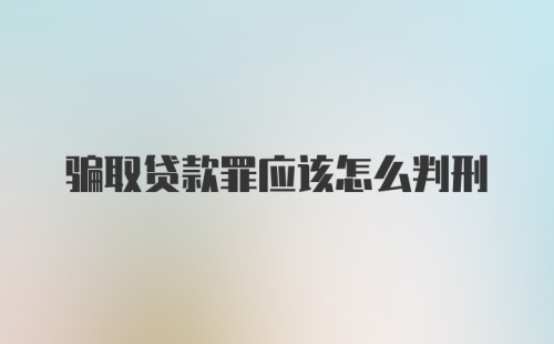 骗取贷款罪应该怎么判刑