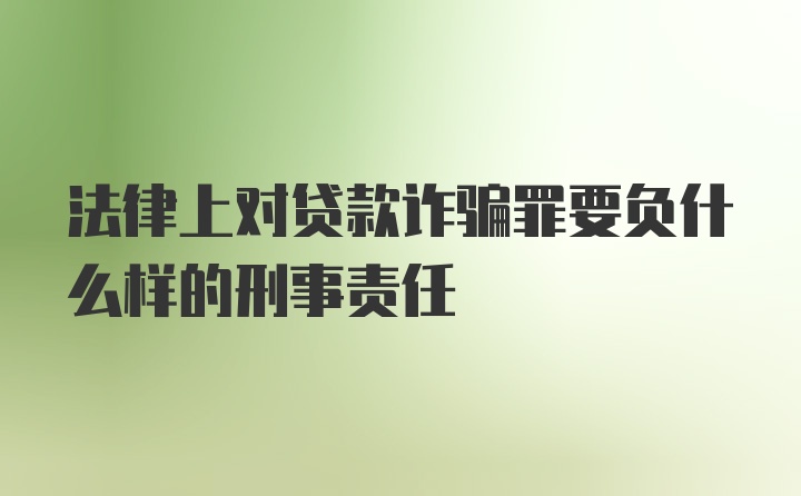 法律上对贷款诈骗罪要负什么样的刑事责任