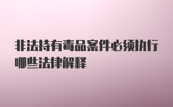 非法持有毒品案件必须执行哪些法律解释