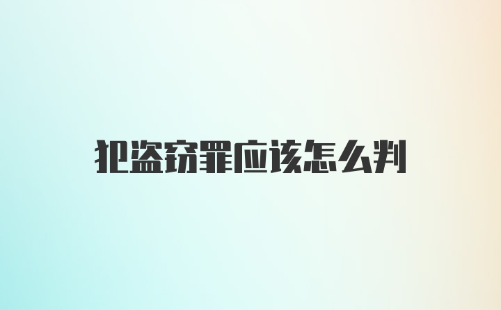 犯盗窃罪应该怎么判