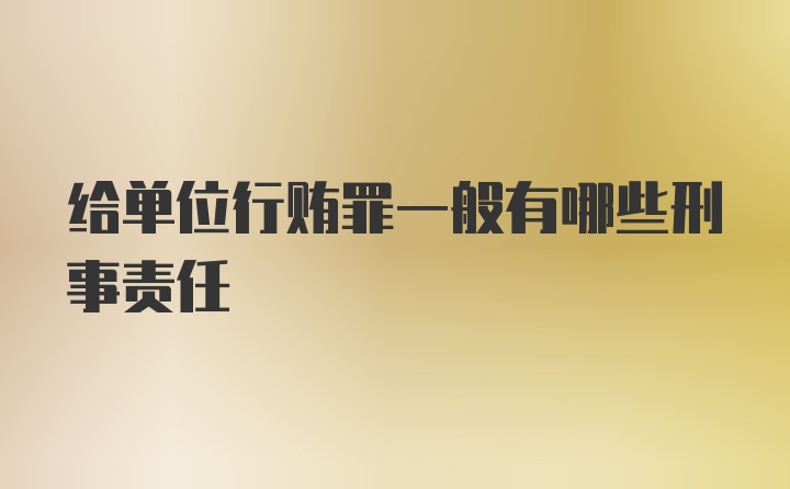 给单位行贿罪一般有哪些刑事责任