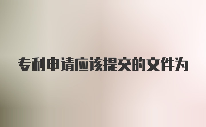 专利申请应该提交的文件为