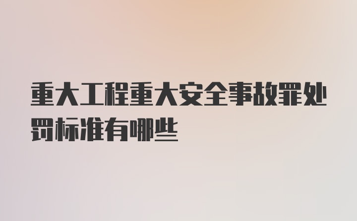 重大工程重大安全事故罪处罚标准有哪些