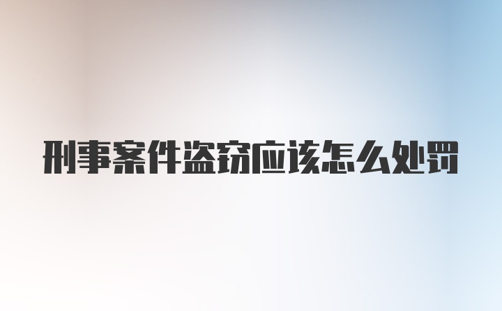 刑事案件盗窃应该怎么处罚