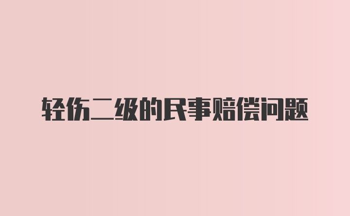 轻伤二级的民事赔偿问题