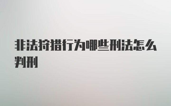 非法狩猎行为哪些刑法怎么判刑