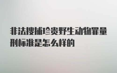 非法搜捕珍贵野生动物罪量刑标准是怎么样的