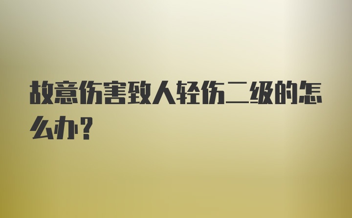 故意伤害致人轻伤二级的怎么办？