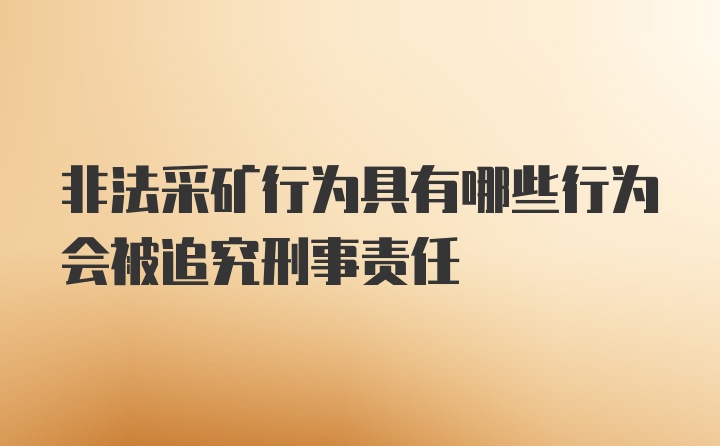 非法采矿行为具有哪些行为会被追究刑事责任