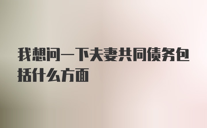 我想问一下夫妻共同债务包括什么方面