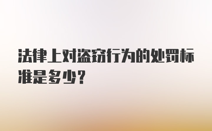 法律上对盗窃行为的处罚标准是多少？