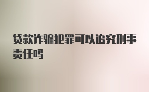 贷款诈骗犯罪可以追究刑事责任吗