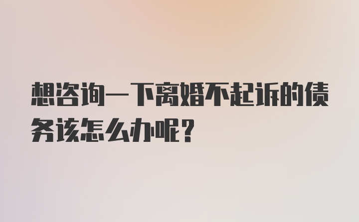 想咨询一下离婚不起诉的债务该怎么办呢？