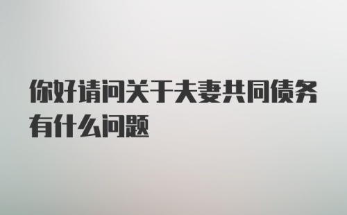 你好请问关于夫妻共同债务有什么问题