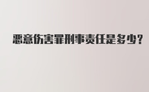 恶意伤害罪刑事责任是多少?