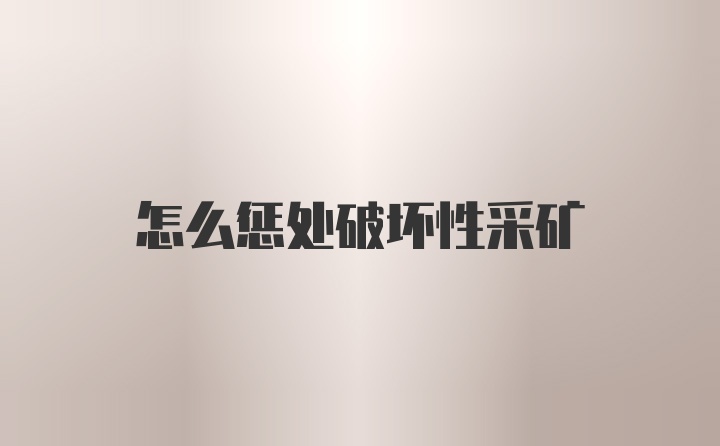 怎么惩处破坏性采矿