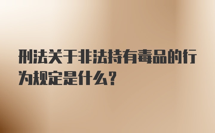 刑法关于非法持有毒品的行为规定是什么?