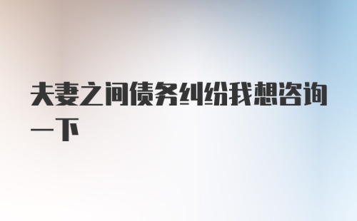 夫妻之间债务纠纷我想咨询一下