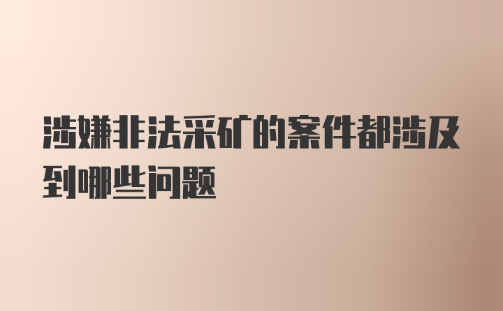 涉嫌非法采矿的案件都涉及到哪些问题