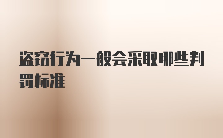 盗窃行为一般会采取哪些判罚标准