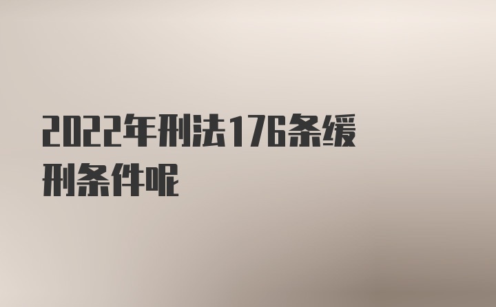 2022年刑法176条缓刑条件呢